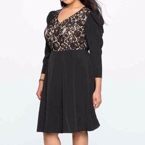 Eloquii "NEW" Classic Black Tan Lace Corpcore Careerwear Fit & Flare Dress Sz.20